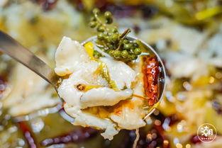 郑州酸菜鱼最新爆料,独家爆料揭秘美食背后的故事